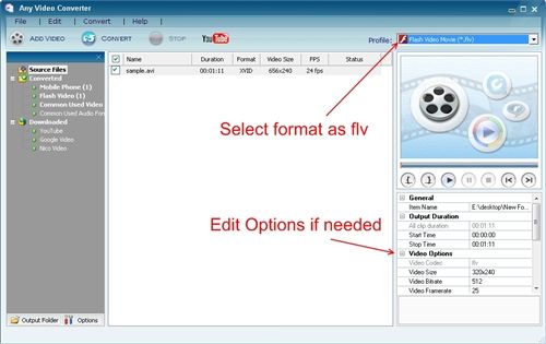 Converting video to flv format - edit options