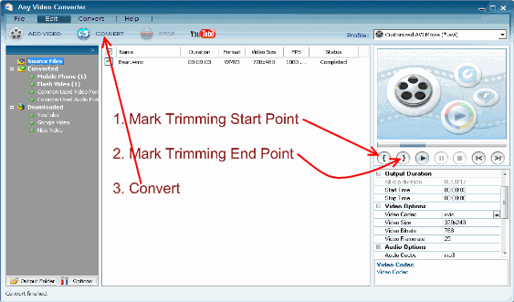 Video Trimming with any video converter