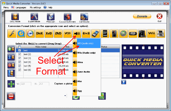 Select audio conversion format